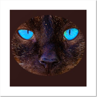 Cats eyes Posters and Art